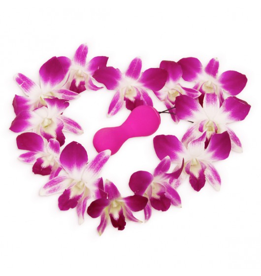 gvibe-gballs-app-petal-rose