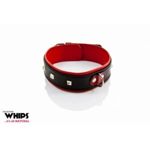 Whips Obroża damska 4 cm