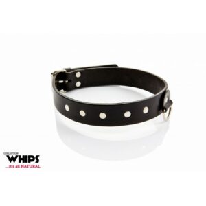 Whips Obroża męska classic